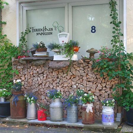 Ferienhaus Napoleon Waldmünchen Exterior foto